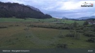 Archiv Foto Webcam Moorgebiet Schwemm am Walchsee 02:00