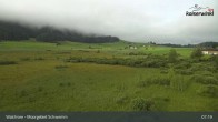 Archiv Foto Webcam Moorgebiet Schwemm am Walchsee 06:00