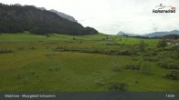 Archiv Foto Webcam Moorgebiet Schwemm am Walchsee 12:00