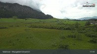 Archiv Foto Webcam Moorgebiet Schwemm am Walchsee 16:00
