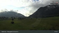 Archiv Foto Webcam Moorgebiet Schwemm am Walchsee 07:00