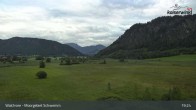 Archiv Foto Webcam Moorgebiet Schwemm am Walchsee 18:00