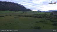 Archiv Foto Webcam Moorgebiet Schwemm am Walchsee 20:00