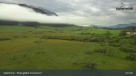 Archiv Foto Webcam Moorgebiet Schwemm am Walchsee 07:00