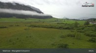 Archiv Foto Webcam Moorgebiet Schwemm am Walchsee 08:00