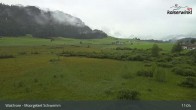 Archiv Foto Webcam Moorgebiet Schwemm am Walchsee 10:00