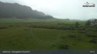 Archiv Foto Webcam Moorgebiet Schwemm am Walchsee 14:00