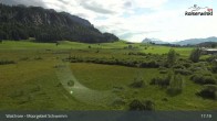 Archiv Foto Webcam Moorgebiet Schwemm am Walchsee 16:00
