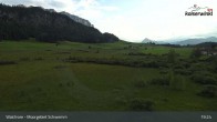 Archiv Foto Webcam Moorgebiet Schwemm am Walchsee 18:00