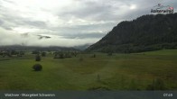 Archiv Foto Webcam Moorgebiet Schwemm am Walchsee 07:00