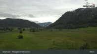 Archiv Foto Webcam Moorgebiet Schwemm am Walchsee 08:00
