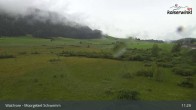 Archiv Foto Webcam Moorgebiet Schwemm am Walchsee 10:00