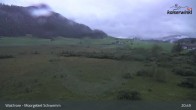 Archiv Foto Webcam Moorgebiet Schwemm am Walchsee 20:00