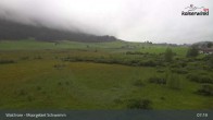 Archiv Foto Webcam Moorgebiet Schwemm am Walchsee 06:00