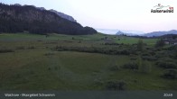 Archiv Foto Webcam Moorgebiet Schwemm am Walchsee 00:00