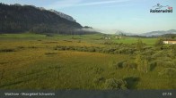 Archiv Foto Webcam Moorgebiet Schwemm am Walchsee 06:00