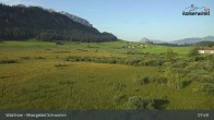 Archiv Foto Webcam Moorgebiet Schwemm am Walchsee 07:00
