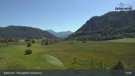 Archiv Foto Webcam Moorgebiet Schwemm am Walchsee 07:00