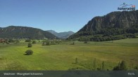 Archiv Foto Webcam Moorgebiet Schwemm am Walchsee 09:00