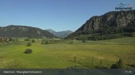Archiv Foto Webcam Moorgebiet Schwemm am Walchsee 11:00