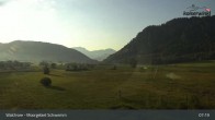 Archiv Foto Webcam Moorgebiet Schwemm am Walchsee 01:00
