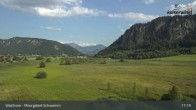 Archiv Foto Webcam Moorgebiet Schwemm am Walchsee 11:00