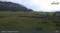 Archiv Foto Webcam Moorgebiet Schwemm am Walchsee 00:00