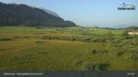 Archiv Foto Webcam Moorgebiet Schwemm am Walchsee 07:00