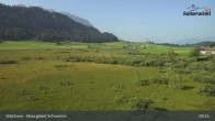 Archiv Foto Webcam Moorgebiet Schwemm am Walchsee 08:00