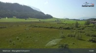 Archiv Foto Webcam Moorgebiet Schwemm am Walchsee 12:00