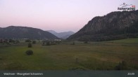 Archiv Foto Webcam Moorgebiet Schwemm am Walchsee 02:00