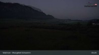 Archiv Foto Webcam Moorgebiet Schwemm am Walchsee 04:00
