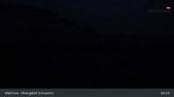 Archiv Foto Webcam Moorgebiet Schwemm am Walchsee 04:00