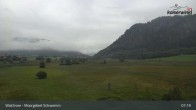 Archiv Foto Webcam Moorgebiet Schwemm am Walchsee 06:00