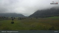 Archiv Foto Webcam Moorgebiet Schwemm am Walchsee 06:00