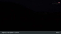 Archiv Foto Webcam Moorgebiet Schwemm am Walchsee 04:00