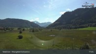 Archiv Foto Webcam Moorgebiet Schwemm am Walchsee 10:00