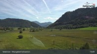 Archiv Foto Webcam Moorgebiet Schwemm am Walchsee 12:00