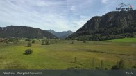 Archiv Foto Webcam Moorgebiet Schwemm am Walchsee 14:00