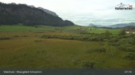 Archiv Foto Webcam Moorgebiet Schwemm am Walchsee 06:00
