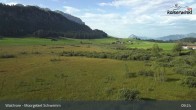 Archiv Foto Webcam Moorgebiet Schwemm am Walchsee 08:00
