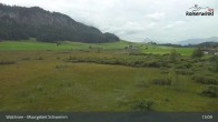 Archiv Foto Webcam Moorgebiet Schwemm am Walchsee 12:00