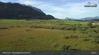 Archiv Foto Webcam Moorgebiet Schwemm am Walchsee 06:00