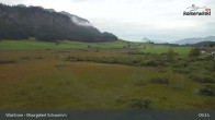 Archiv Foto Webcam Moorgebiet Schwemm am Walchsee 06:00