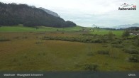 Archiv Foto Webcam Moorgebiet Schwemm am Walchsee 07:00