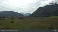 Archiv Foto Webcam Moorgebiet Schwemm am Walchsee 08:00