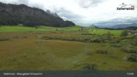 Archiv Foto Webcam Moorgebiet Schwemm am Walchsee 11:00