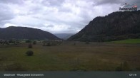 Archiv Foto Webcam Moorgebiet Schwemm am Walchsee 13:00