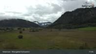 Archiv Foto Webcam Moorgebiet Schwemm am Walchsee 10:00