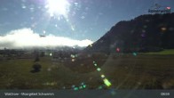 Archiv Foto Webcam Moorgebiet Schwemm am Walchsee 08:00